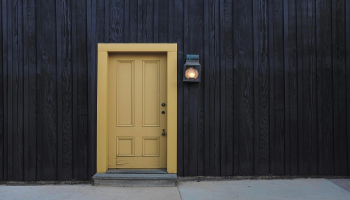 panel door 2