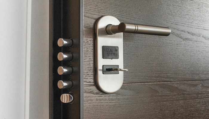 panel door 3